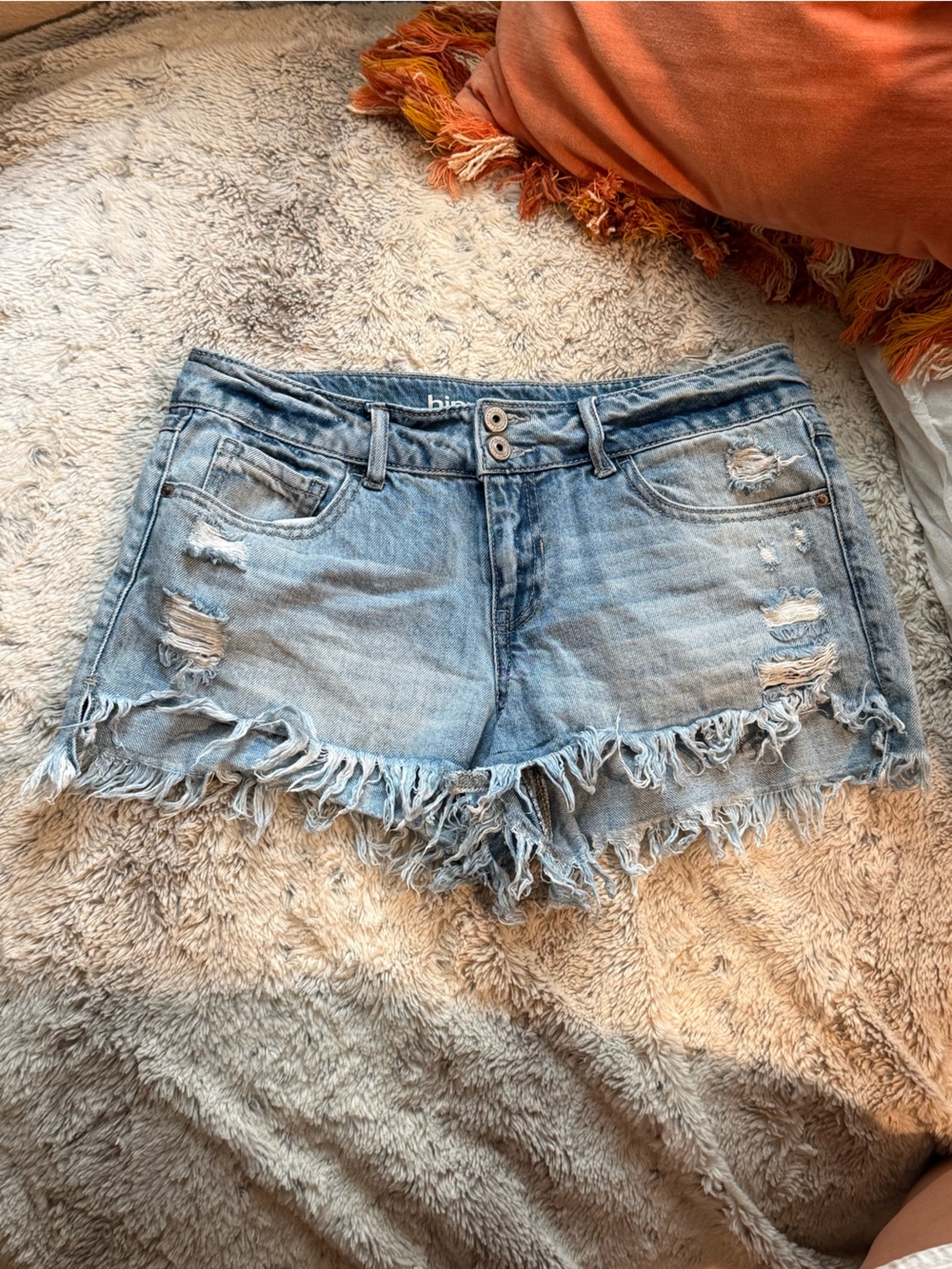 Hippie Laundry Jean Shorts | Hi Low Shortie | 28